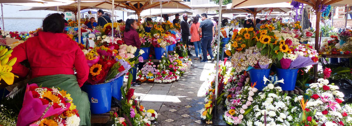 Marché aux fleurs